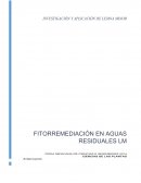 FITORREMEDIACIÓN EN AGUAS RESIDUALES