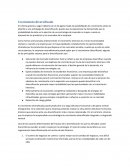 Crecimiento diversificado