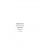 REGRESION LINEAL - ESTADISTICAS