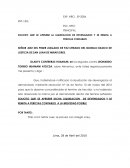 Petición de liquidación de devengados