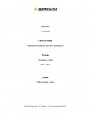 Una compañía comercializadora de camibusos para hombre desea conocer el presupuesto de ventas para el año 6 de operaciones en una línea específica de camibusos