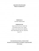 El nuevo Trabajo Colaborativo 1 Analisis de Circuitos