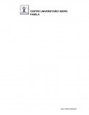 Reflexión sobre la película Roki