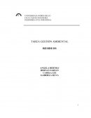 TAREA GESTIÓN AMBIENTAL