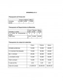 Presupuesto de Producción Ejercicios