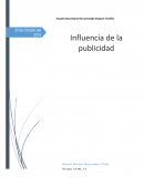 Informes de la Influencia de la publicidad