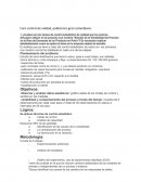 Un gran Foro control de calida politecnico gran colombiano