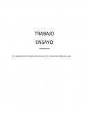 Plan de vida - lo que nos sirvió la materia para trabajar el día a día