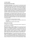 La vida es celular - El descubrimiento de la célula