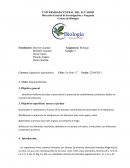 El microscopio de laboratorio