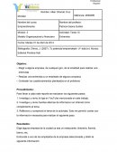 Tarea de Emprendimeinto - Modelo Organizacional y financiero