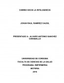 CAMINO HACIA LA INTELIGENICIA