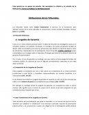 Atribuciones de los Tribunales