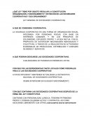 ¿Qué ley tiene por objeto regular la constitución organización, funcionamiento y extinción de las sociedades cooperativas y sus organismos?