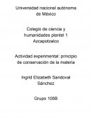 Actividad experimental: principio de conservación de la materia