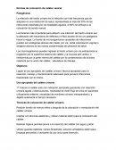 Normas de colocación de catéter vesical