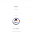 Ensayo filosofía analitica