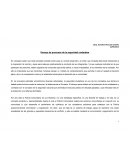 Ensayo de procesos de la seguridad ciudadana