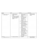 Nuevo plan de empresa