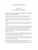 Actividad ¿Por qué cree que es importante definir y propagar dentro de la empresa los objetivos y valores organizacionales?
