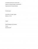 El arte de amar - Ensayo