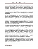 Rehabilitacion vial