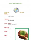 Proyecto de brigada de gestion de riesgo Incendios Forestales