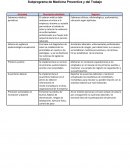 Subprograma de Medicina Preventiva y del Trabajo.