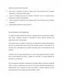 Plan de medios PREGUNTAS DE INVESTIGACIÓN