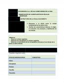 Práctica 2 Cloroplastos