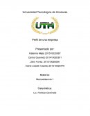 Perfil de una Empresa mercadotecnia