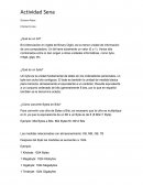 Cristian Enciso ¿Qué es un bit?