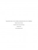 Diagnostico del actual modelo organizacional de la empresa.Gestión de la Prevención de Riesgos