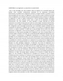 CONFERENCIA 5 La imaginación y su desarrollo en la edad infantil.