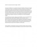 Análisis Físico-Espacial Conurbación Envigado – Medellín