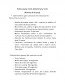 Rutina para recto abdominal y Core