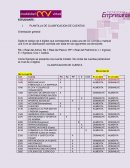 PLANTILLA DE CLASIFICACION DE CUENTAS
