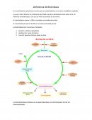 Deficiencia de biotinidasa Es una alteración autosómica