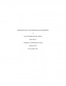Introducción a los instrumentos de carga y levantamiento de materiales