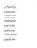 Programa para día de muertos