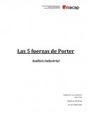 Las 5 fuerzas de Porter Análisis Industrial