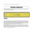 Valoración De Enfermería Obstétrica En La Etapa Prenatal