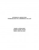INFORME DE LABORATORIO - PERMEABILIDAD DE LA MEMBRANA CELULAR