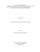 Ampliación de Niveles de Operación de la Empresa y Reemplazo de Activos en la Empresa de Servicios de Transporte TRANSEXPRESS