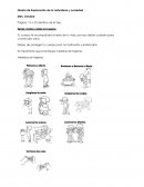 Libreta de Exploración de la naturaleza y sociedad