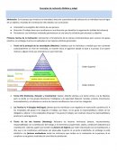 Conceptos de motivación (Robbins y Judge)