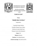 Ruiz Cortines.PEDRO DE ALBA