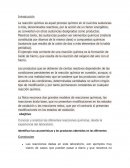 Reporte La reacción química