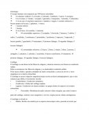 Osteologia - los huesos del cuerpo humano