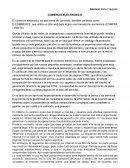 Comercio Electronico E-COMMERCE